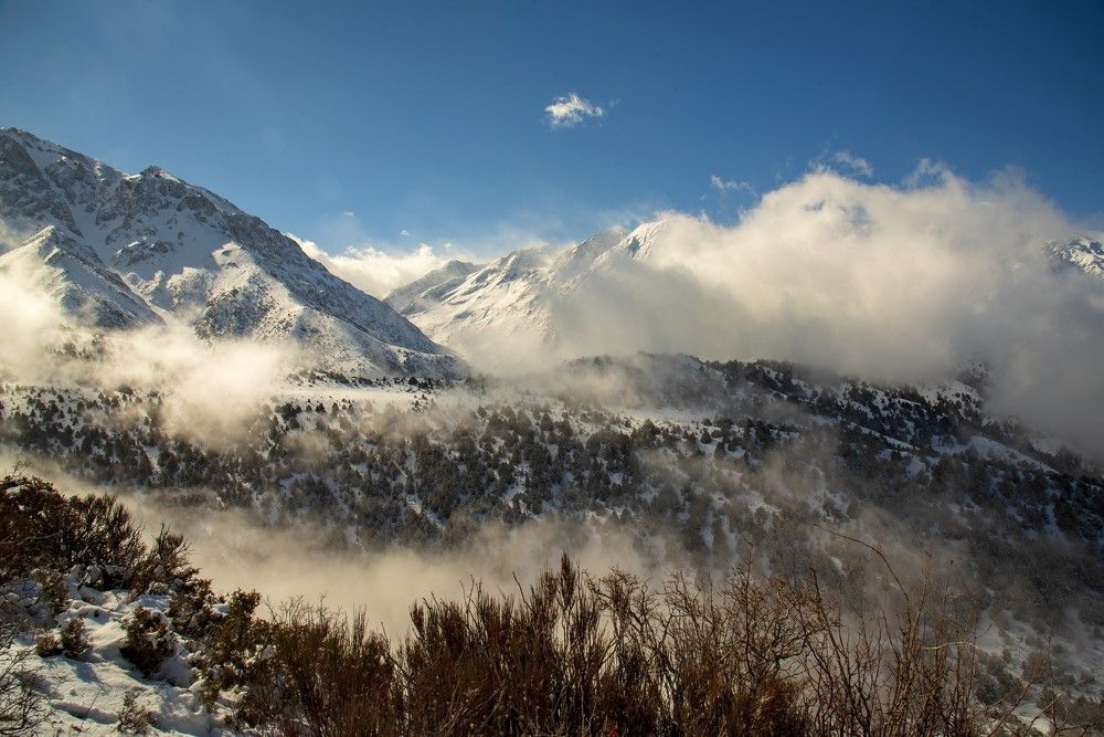 Photograph by Александр Грищенко
