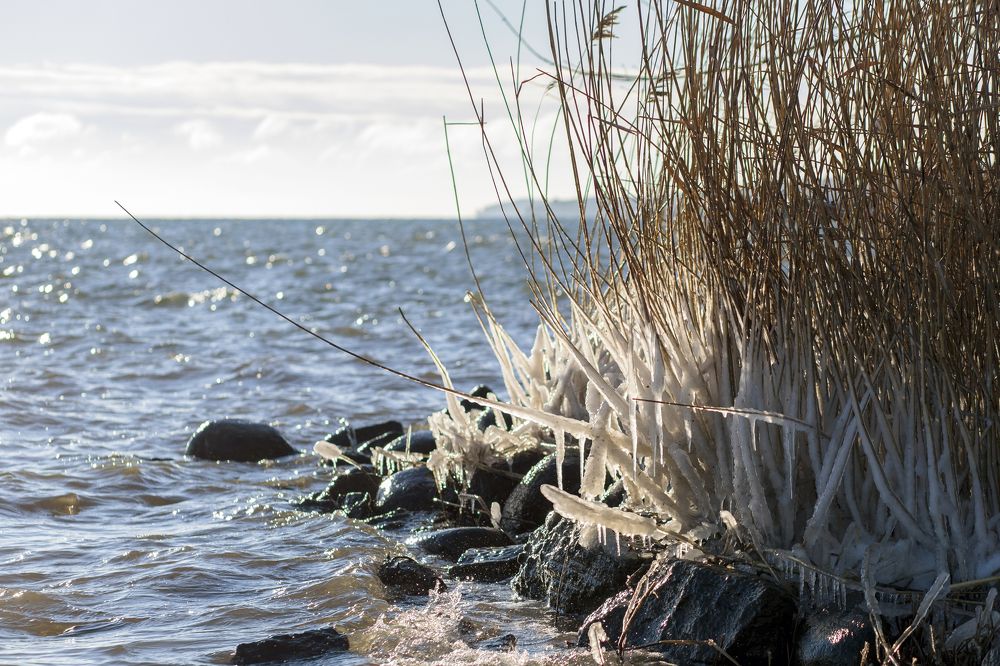 Photograph by Rolandas Valančauskas