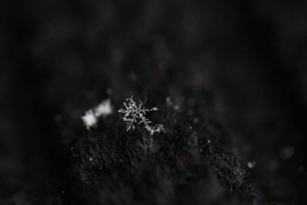 Photograph by Каролина Дидур