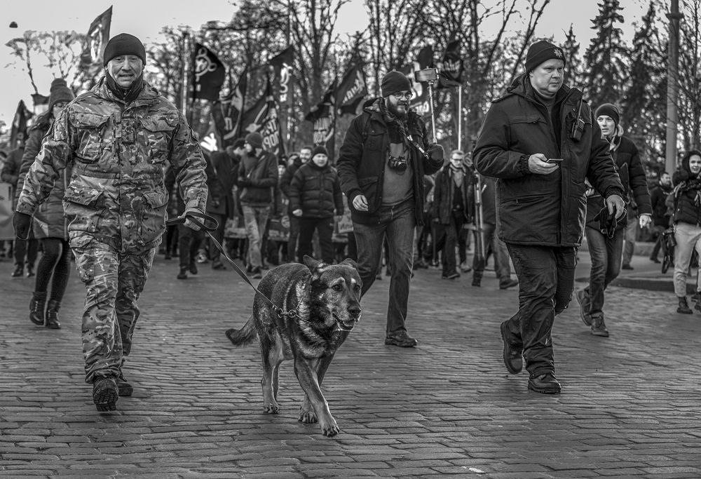 Собачья робота