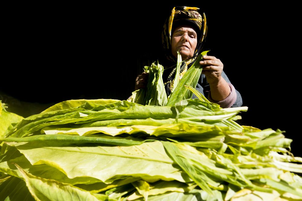 Photograph by Metehan Büyükkaya