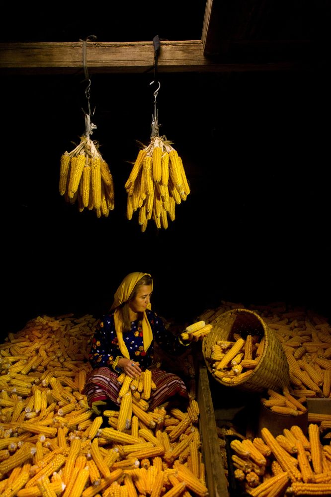 Photograph by Metehan Büyükkaya