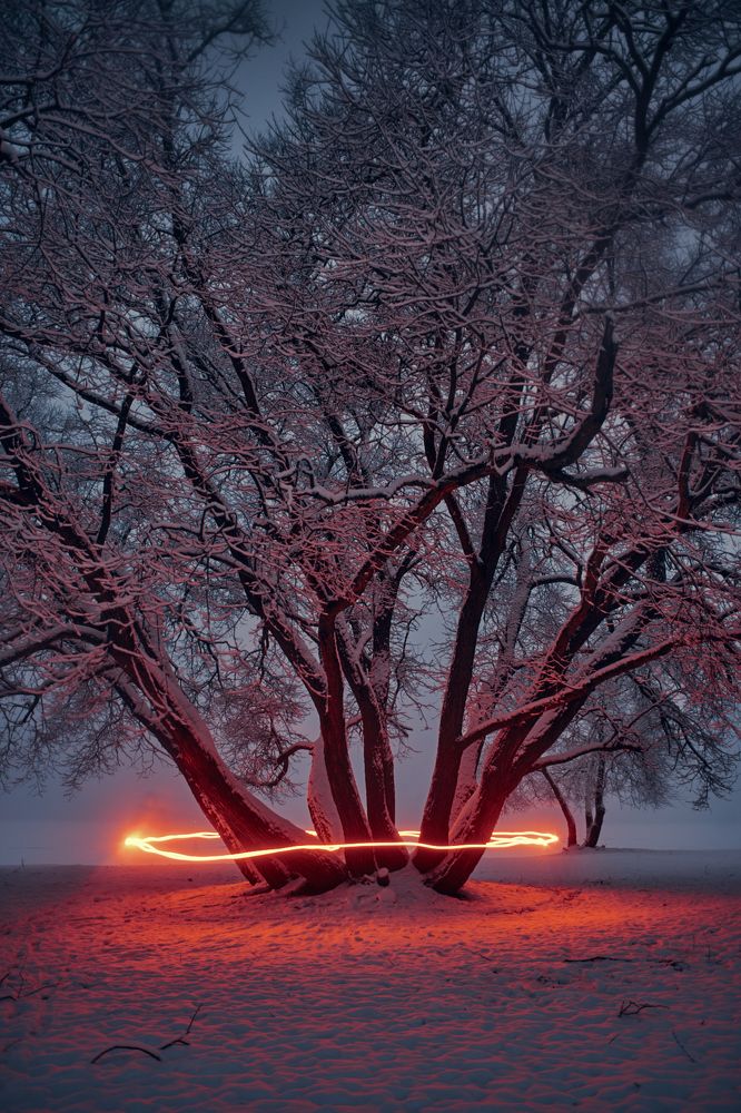 Photograph by Александр Фанковин