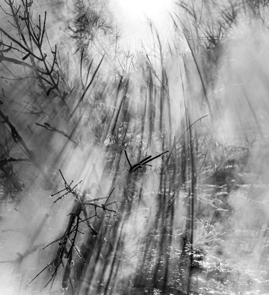 Photograph by Ива Костева