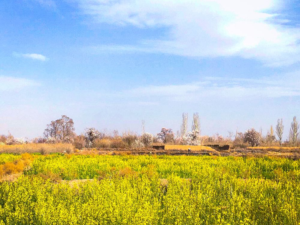 Photograph by Mozhgan Fotouhi