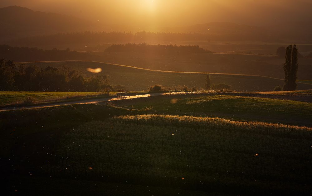 Photograph by Karyakin Anton