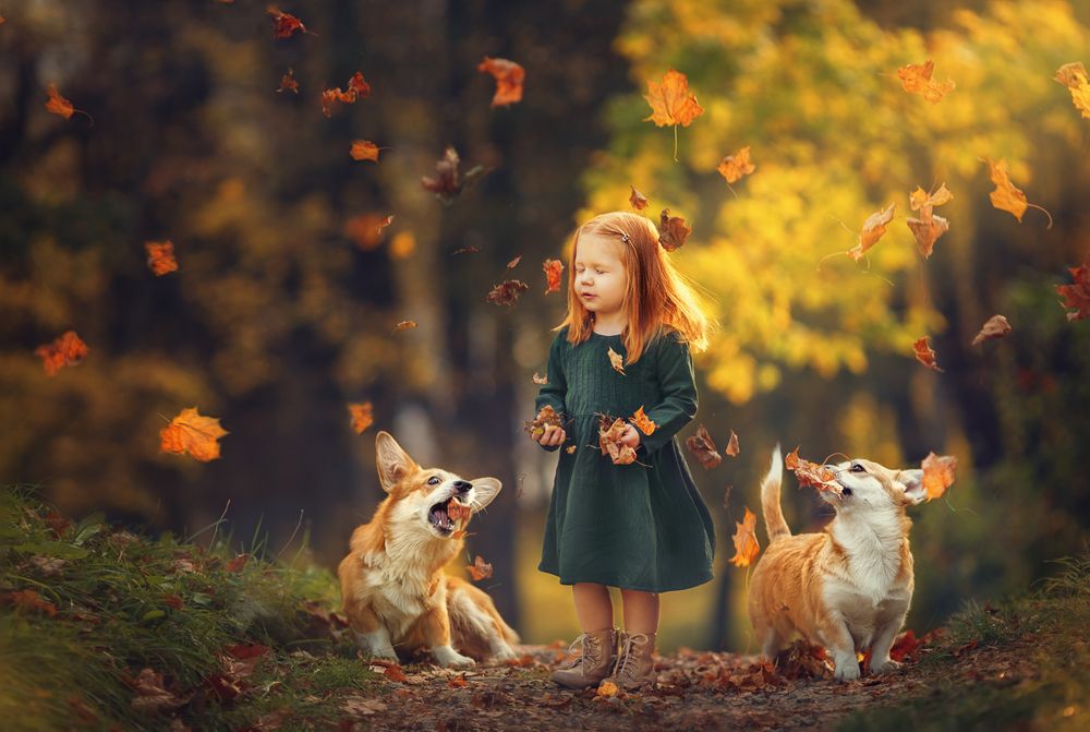 Photograph by Костюк Зоя