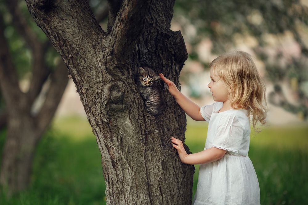 Photograph by Костюк Зоя