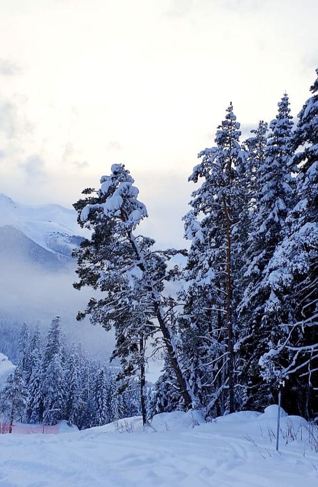 Photograph by Рафаил Манафов