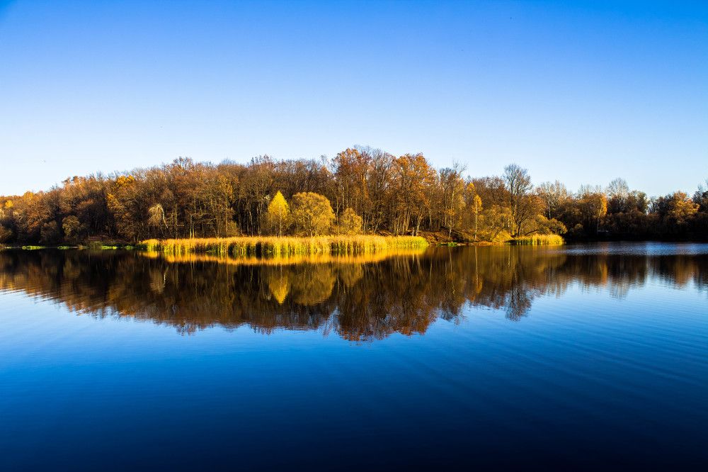 Photograph by Вероника Новикова