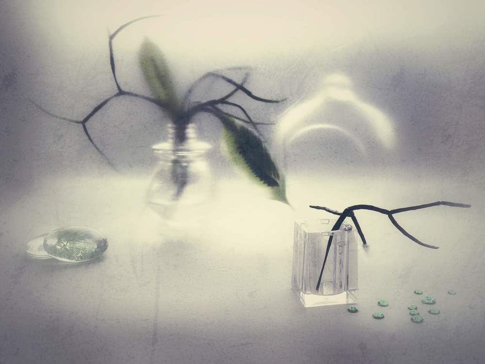 Photograph by Светлана Лехмус