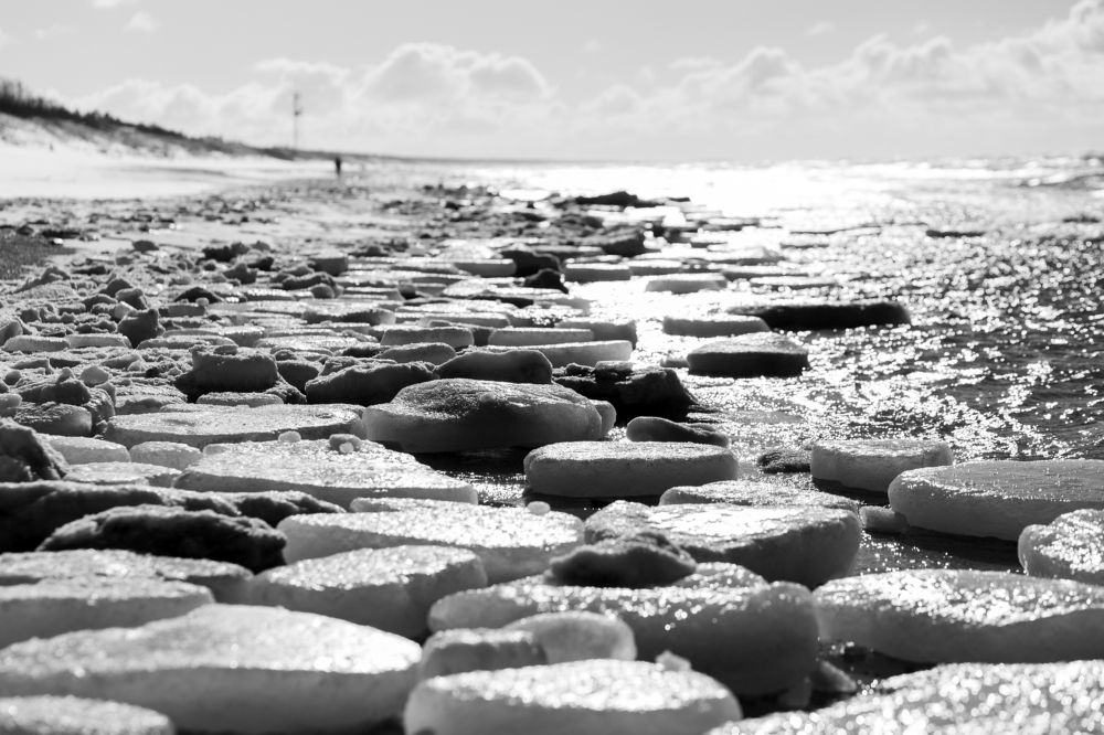 Photograph by Rolandas Valančauskas