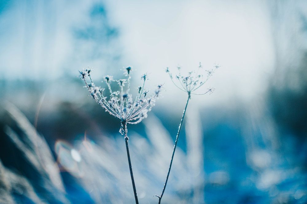 Photograph by Ирина Дьяченко