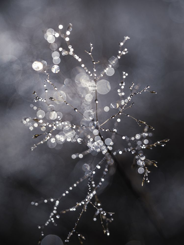 Photograph by Sylwia Ratajczyk