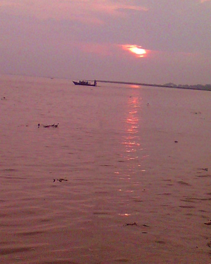The Twilight