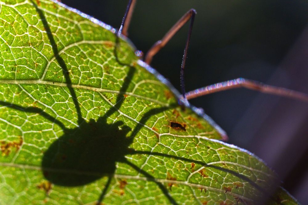 Photograph by Елена