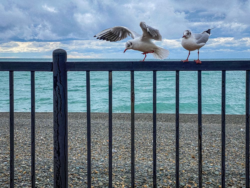 Photograph by Екатерина Шувалова