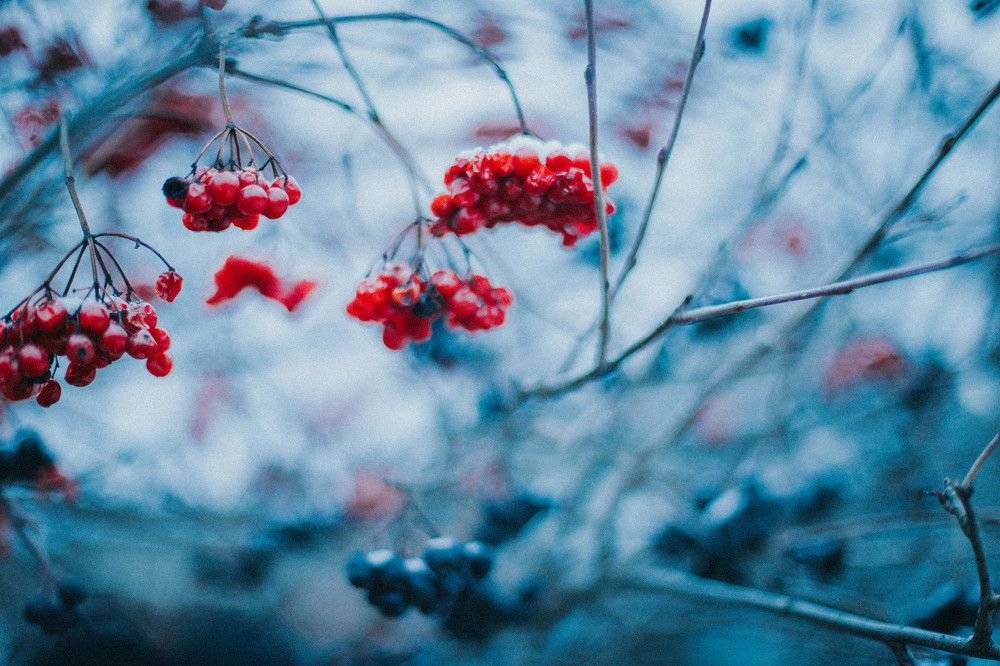 Photograph by Ирина Дьяченко