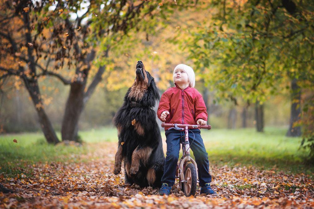 Photograph by Александра Вильчинская