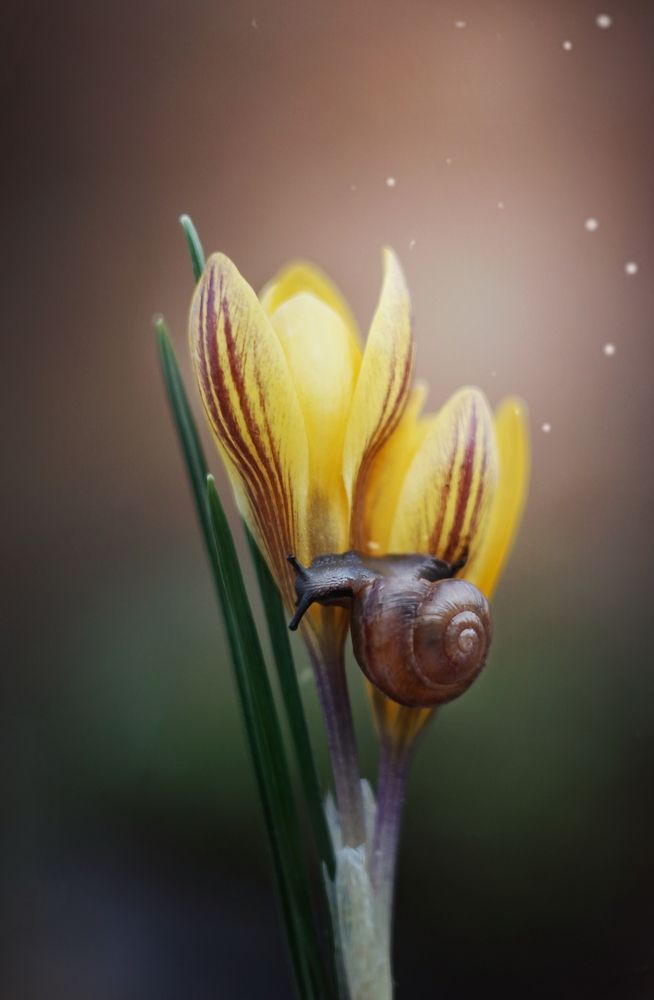 Photograph by Галина Рябикова-Багузова