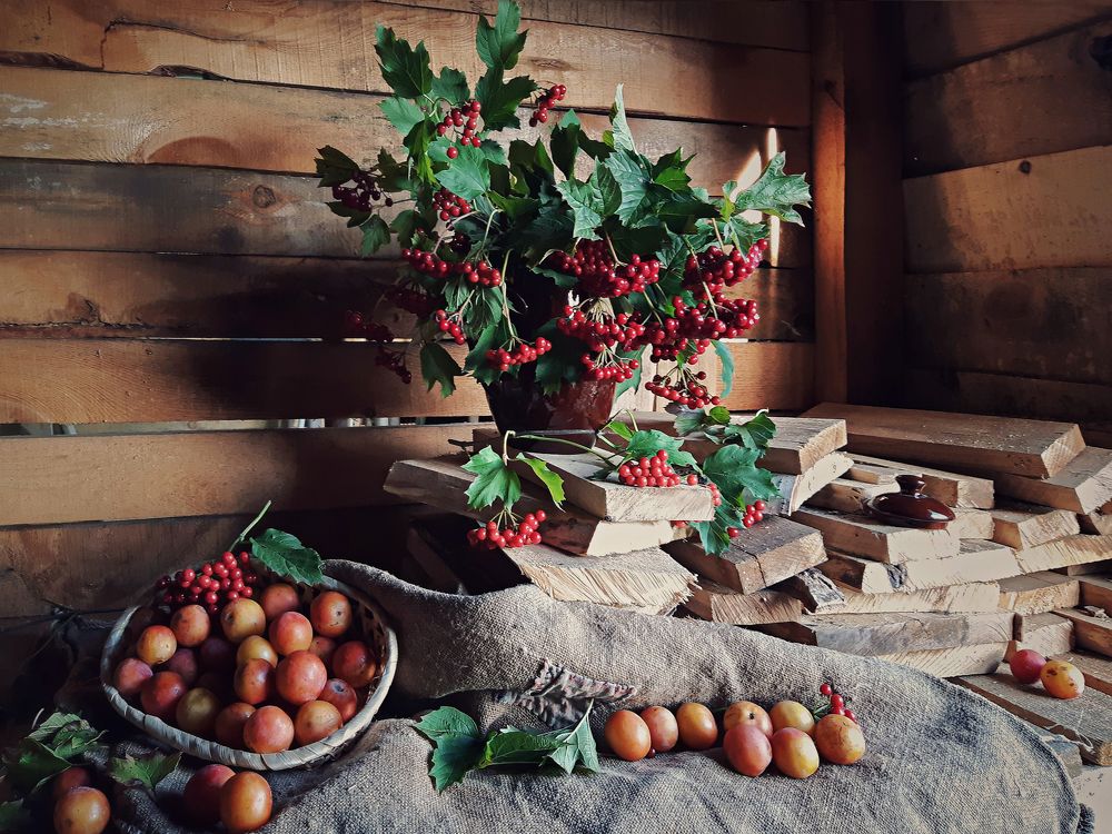 Photograph by Светлана Лехмус