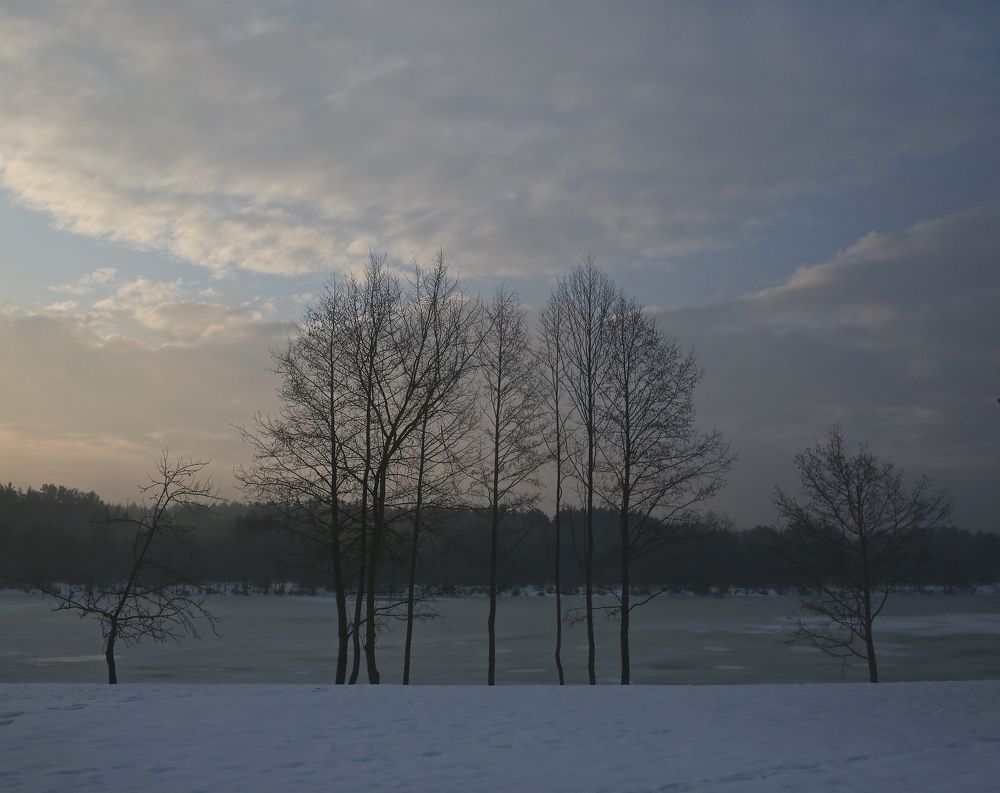Фотография автора Наталья Васько -Черданцева