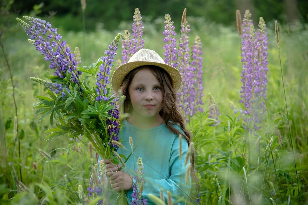 Летний вечер