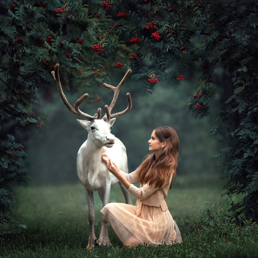 Photograph by Елена Грушецкая