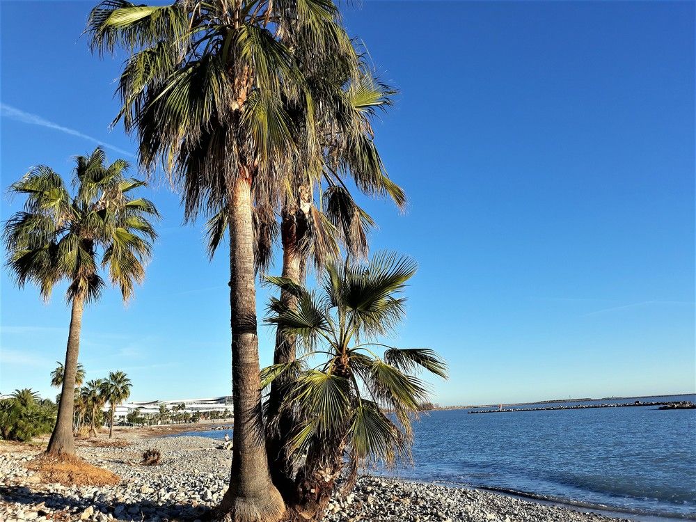 Photograph by Larissa Nayda