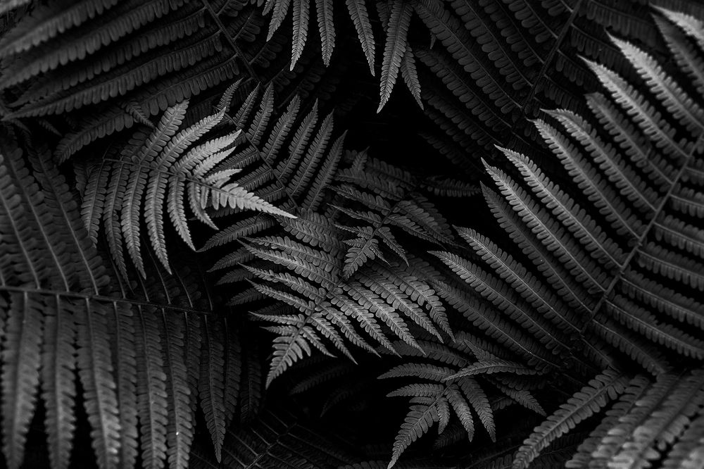 Photograph by Nika Peychev