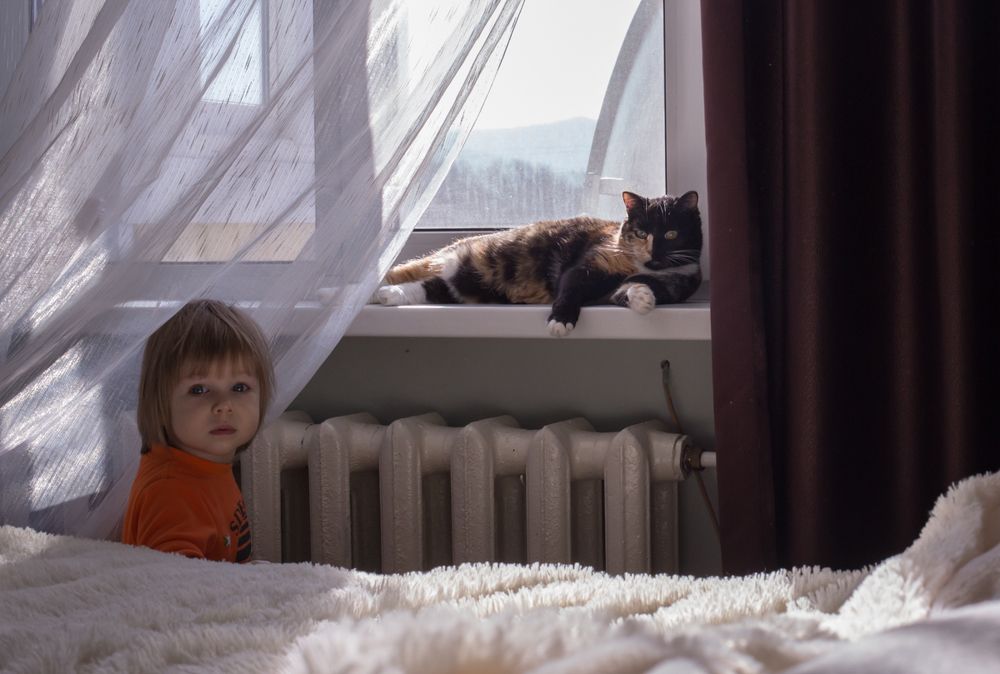 Photograph by Тамара Морозова