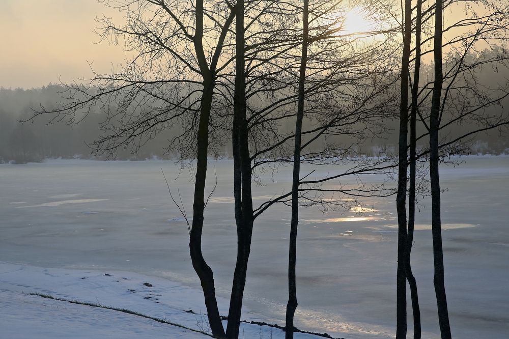 Фотография автора Наталья Васько -Черданцева