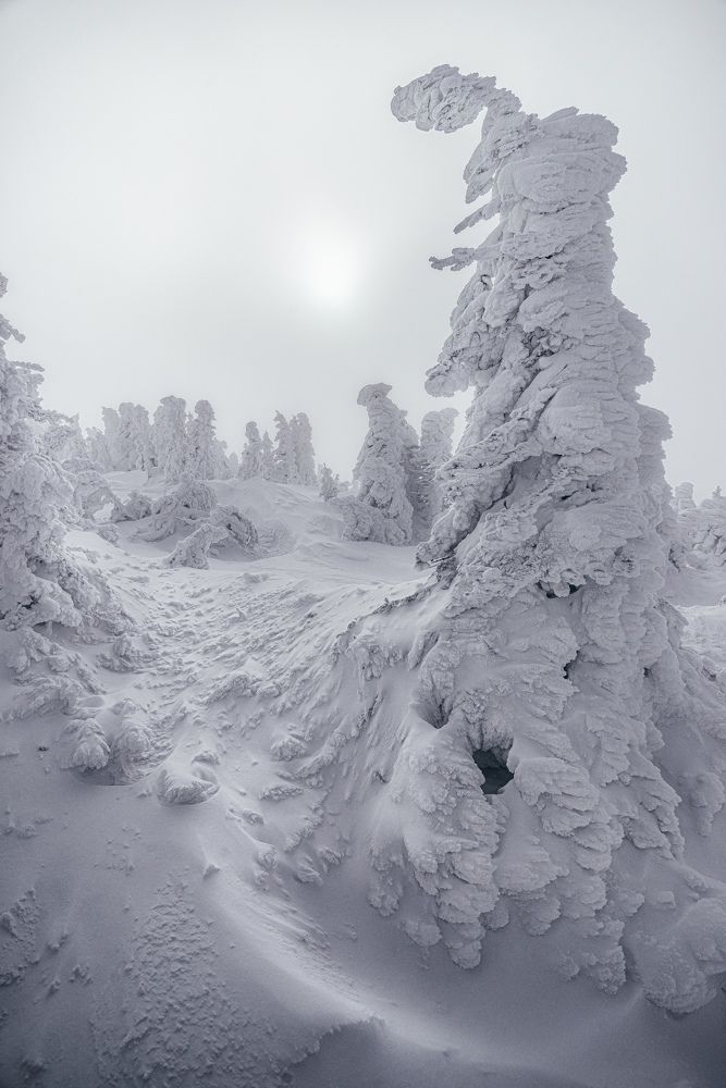 Photograph by Даниил Силантьев