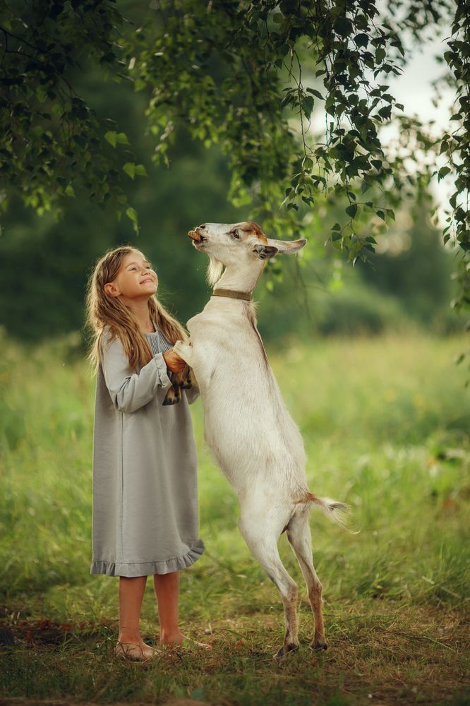 Photograph by Костюк Зоя