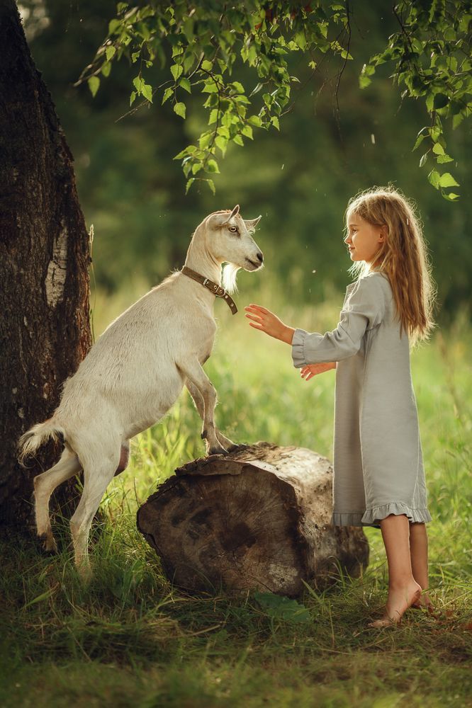 Photograph by Костюк Зоя