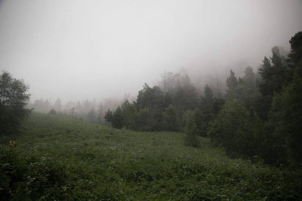 Photograph by Надя Джикурашвили