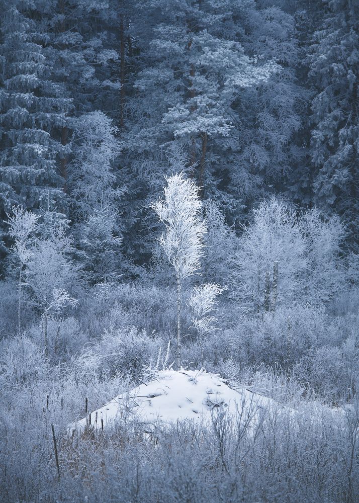 Photograph by Антон Кононов