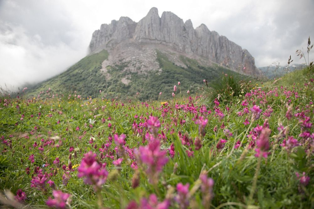 Photograph by Надя Джикурашвили