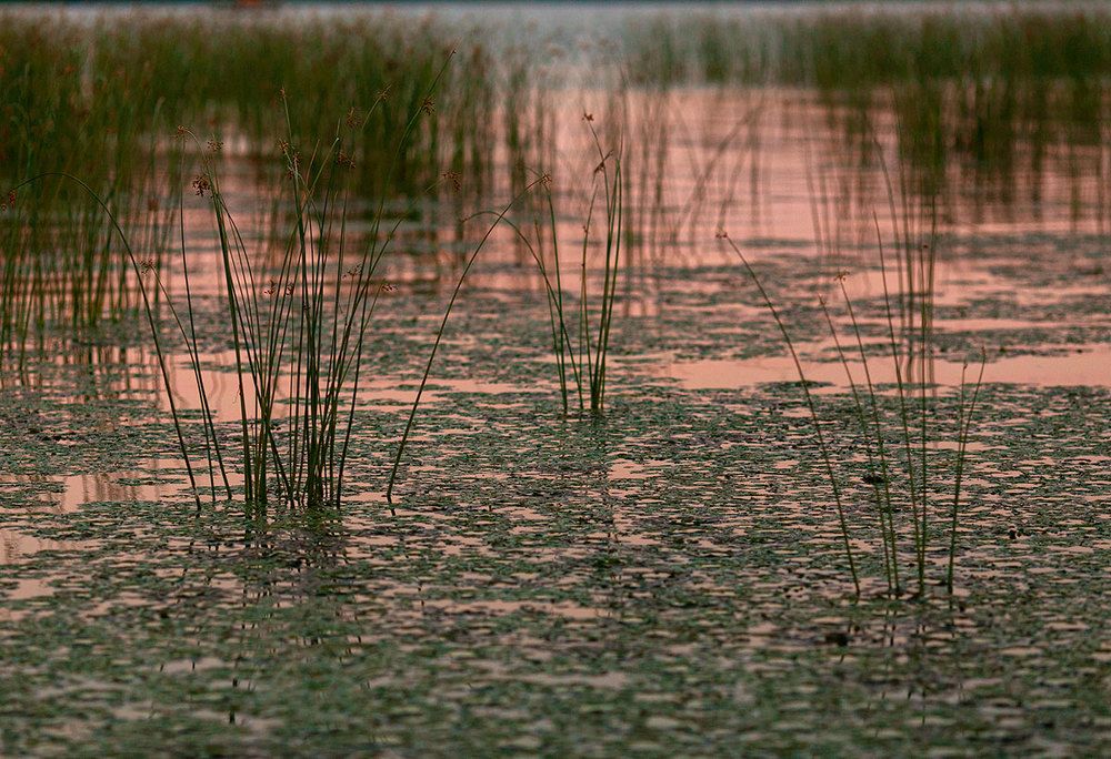 Photograph by Yulia Aslanova