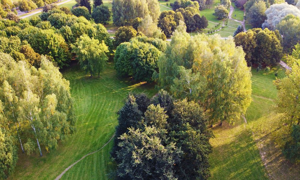 Теплый парк