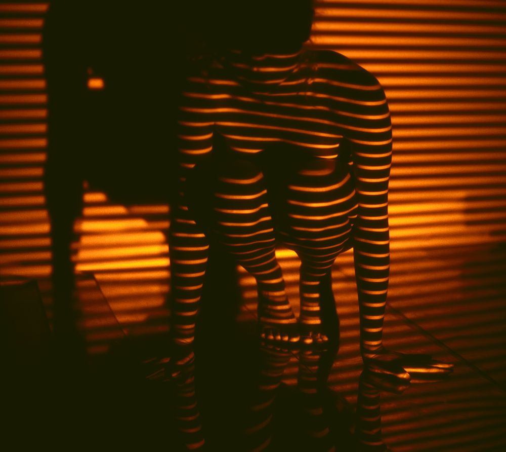 Photograph by Павел Симкин