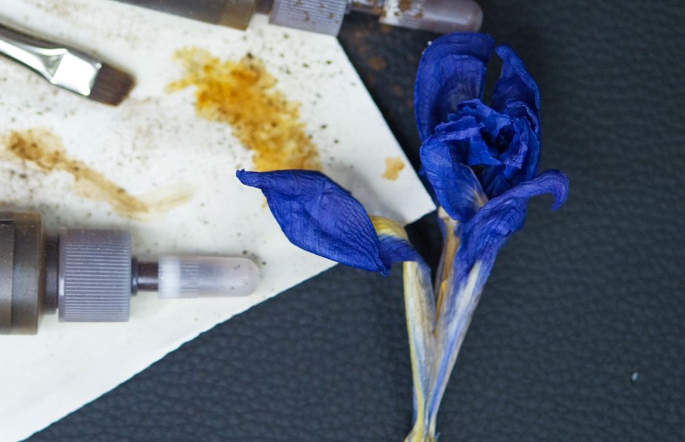 Photograph by Илья Бузаев