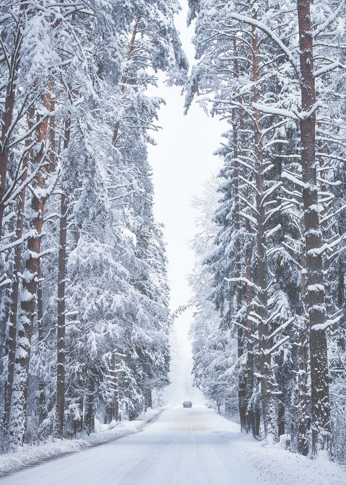 Photograph by Антон Кононов