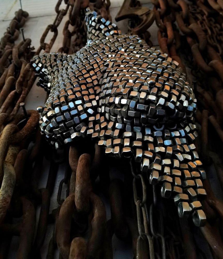 Photo #5893613