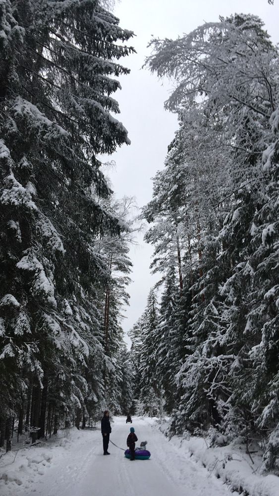 Photograph by Дарья Акулина