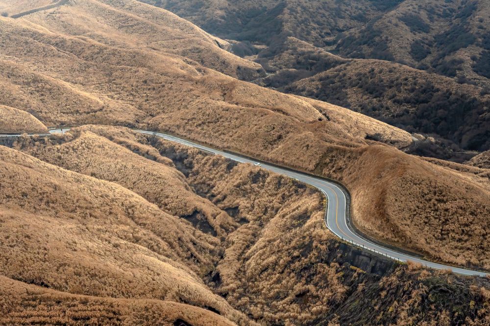 Photograph by ONISHI ANNA