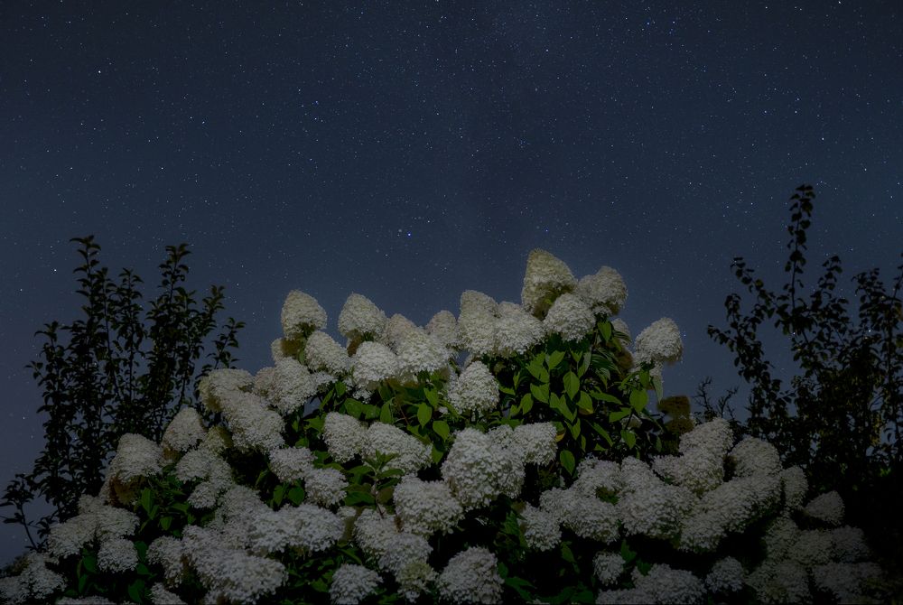 Photograph by Ivan Kukin