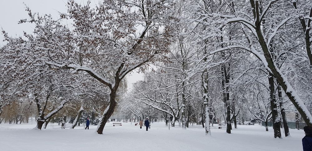 Photograph by Ivan Karavka