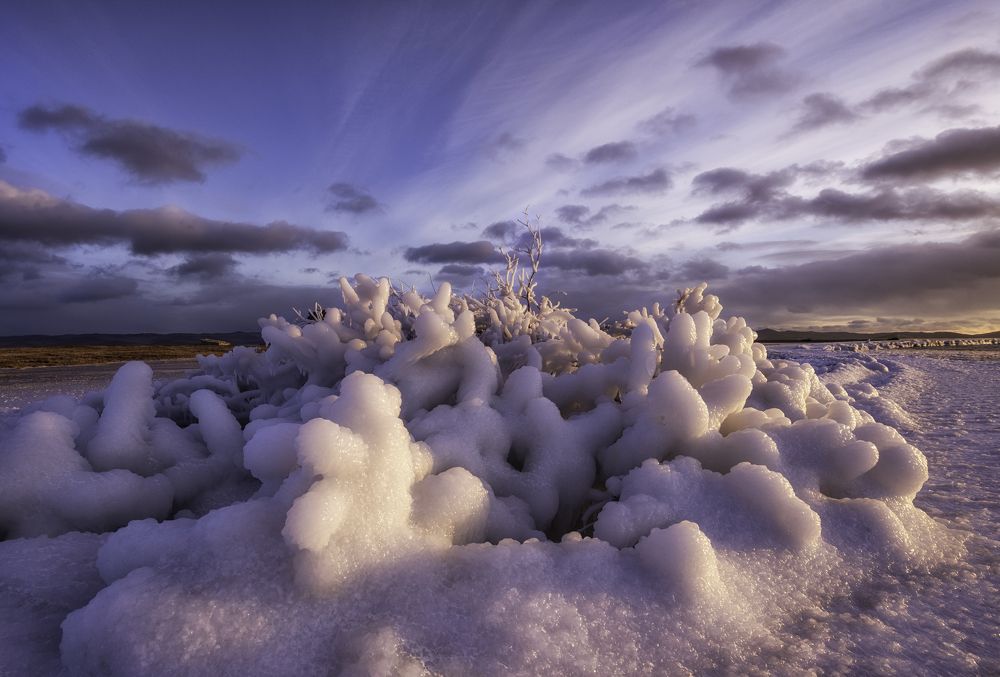 Photograph by Елена Есина