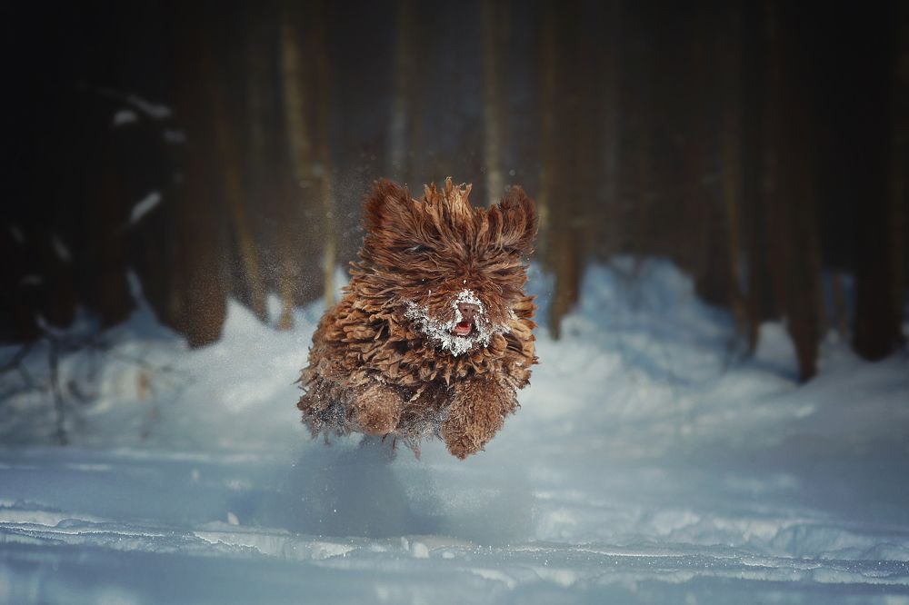 Photograph by Наталия Поникарова